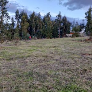 Terrenos Planos en km 8. Desde los $3.500.000